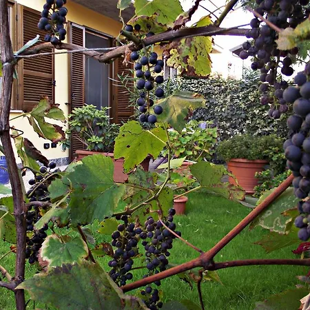 Casacandi Bed & Breakfast Miradolo Terme